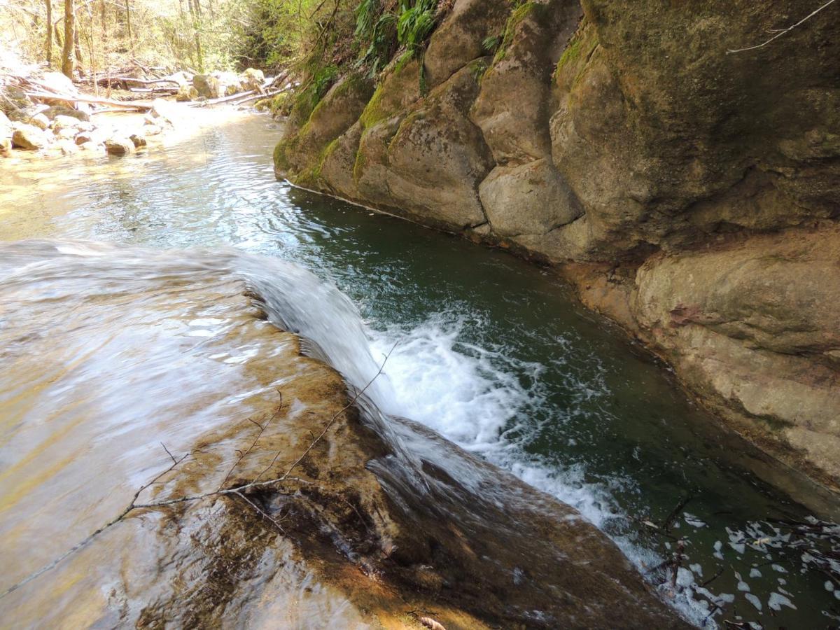 El Moli D'En Sola-Allotjaments Rurals La Vall de Bianya Buitenkant foto