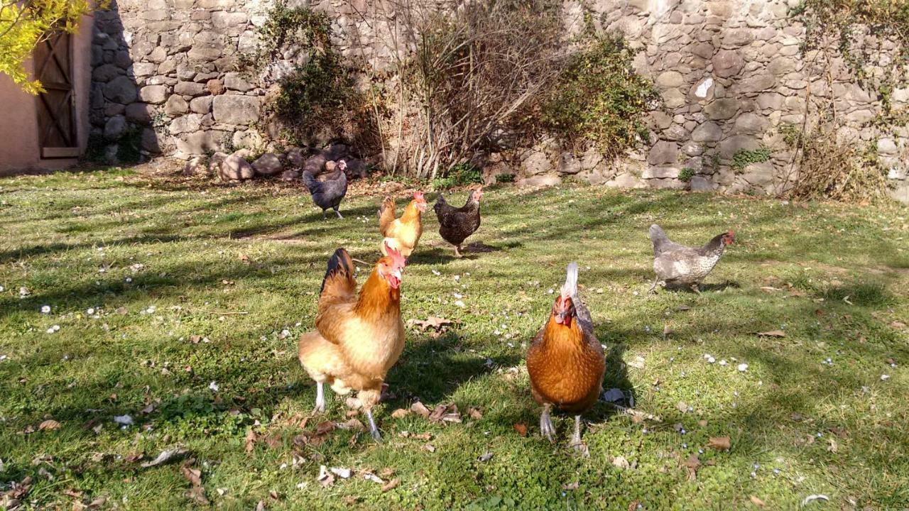El Moli D'En Sola-Allotjaments Rurals La Vall de Bianya Buitenkant foto